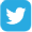 Twitter icon